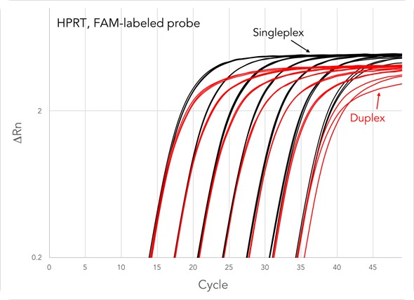 Singleplex and duplex PrimeTime® qPCR Assays using the PrimeTime Master Mix
