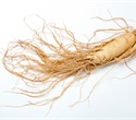 Review highlights immunomodulatory and therapeutic effects of ginseng
