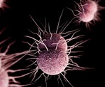 Disparities identified in treatment of chlamydia and gonorrhea in primary care