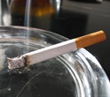 Study shows glial cells actively shape addictive responses to nicotine