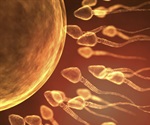 Father's sperm packs more than just a fertilizer