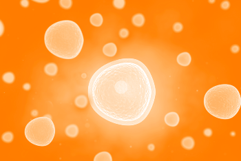 CELLestial® Assays from Enzo Life Sciences