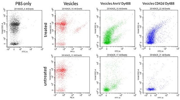 Vesicles prepared from rat plasma. Treated versus untreated, using both CD42d and AnnexinV Dy488.