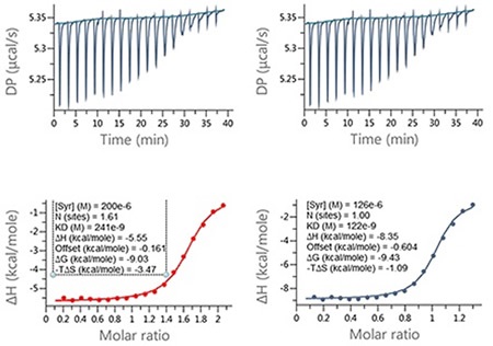Examples of ITC data for the titration of a LMW ligand into a protein where the ligand concentration was in significant error. Raw ITC data (upper panels) and integrated data fitted to One-set-of-sites interaction model (lower panels). The fit was conducted (A) without and (B) with accounting for error in compound concentration. The insets in the lower panel contain the fitted parameters returned by the analysis software.