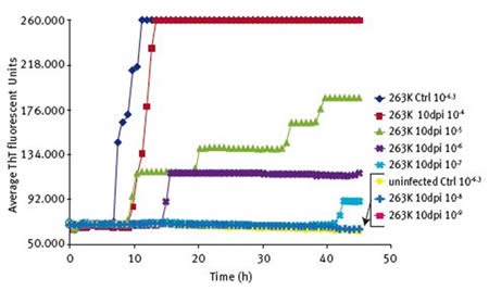 RT-QuIC end-point dilution analysis of three 263K-inoculated preclinical 10 days post injection hamster BHs. In this case, the approximate SD50 was achieved with a 2 µl aliquot (the seed volume) of a 10E−5 dilution of the scrapie 10dpi 263K BH stock (green line). This gave an SD50/2µL of 10E5.5 and an SD50/g of 10E8.2. This figure was adapted from reference 2.