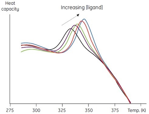 Raw DSC data for the denaturation of a 60 amino acid protein in the presence of its cognate peptide ligand. The protein concentration was 200μM (1mg/ml) and the ligand concentration increased from 0 to 250μM.