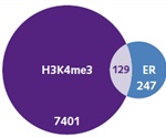 Chromatrap® - Rapid, Consistent, High-Throughput ChIP-seq Assay for Protein-DNA Analysis