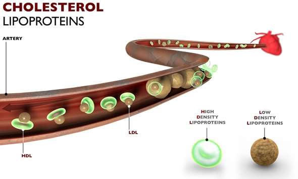 Lipoproteins