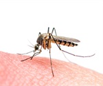 Researcher wins three NIH grants to tackle mosquito-borne viruses