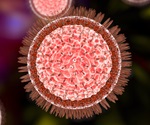 Study reveals distinct infection strategies of Zika and dengue viruses
