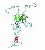 LC8-IDP Interactions | Protein NMR in a New Era of Biomedical Research