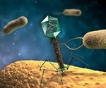 Bacteriophage-based method may improve efficiency of bacteria detectors