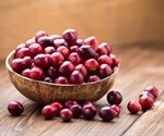 Value of cranberries in prevention of urinary infections is disproved