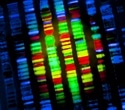 Whole-genome sequencing improves PARP inhibitor treatment prediction