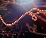 Clinical trials demonstrate safety and efficacy of Ebola Zaire vaccines
