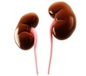 Study shows record surge in reduced kidney function worldwide