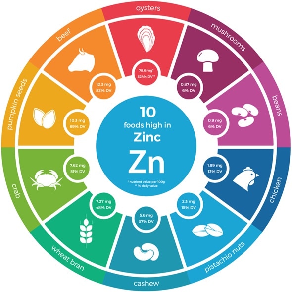 Zinc Rich Foods
