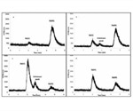 Using IC-ICP/MS Technique to Separate Antimony Containing Nanoparticles in Airborne Particulate Matter