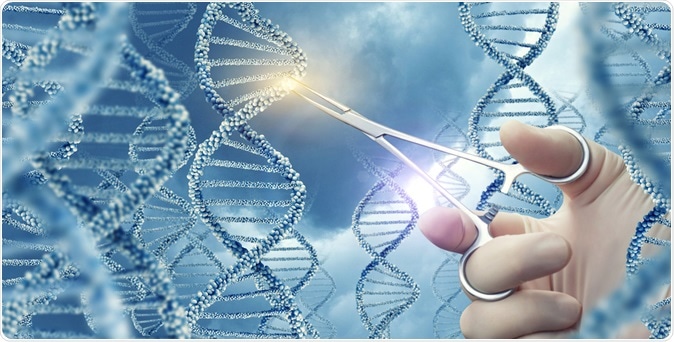 Image Credit: Natali_ Mis  / Shutterstock