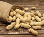 Early peanut introduction can prevent allergy but parents need clearer guidance