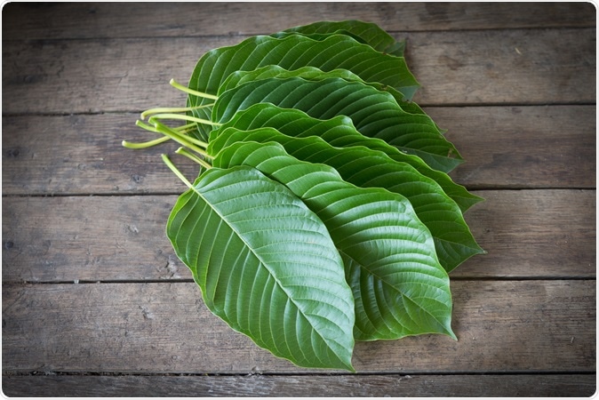 Kratom (Mitragyna speciosa) Mitragynine. Image Credit: frank60 / Shutterstock