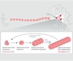 Active Alpha-Synuclein Proteins for In Vitro and In Vivo Experiments