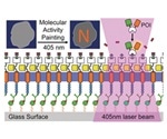 German scientists design molecular paintbrush technique to control and monitor key intracellular processes