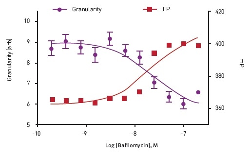 Dose response to Bafilomycin in Insulin Granule Packing Assay. Analysis show an anti-correlation between homoFRETFP signal and mCherry granularity.