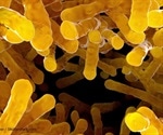 Fecal Microbiota Transplant