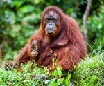 Biomarkers in the teeth of orangutans provide new understanding of human breast-feeding evolution