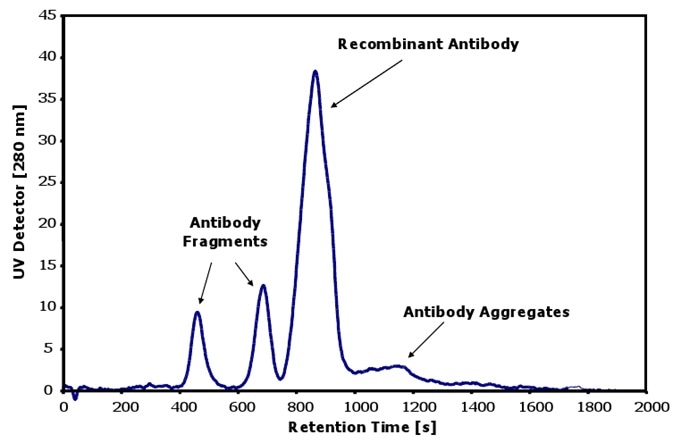 Characterization of antibodies with aggregates and fragments.