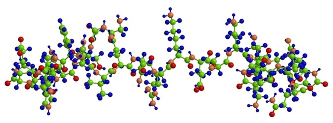 Molecular structure of hunger hormone Ghrelin (Lenomorelin) 3D rendering - Image Credit: Raimundo79 / Shutterstock