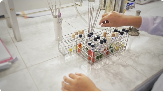 Image Credit: toeytoey / Shutterstock