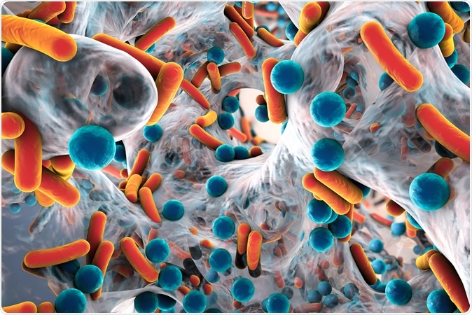Illustration of biofilm of antibiotic resistant bacteria, closeup view. Rod-shaped and spherical bacteria. Escherichia coli, Pseudomonas aeruginosa, Mycobacterium tuberculosis, Klebsiella, Staphylococcus aureus, MRSA. Image Credit: Kateryna Kon / Shutterstock