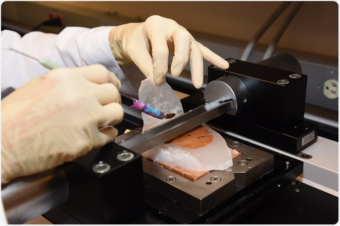 Brain tissue being sectioned using microtome.
