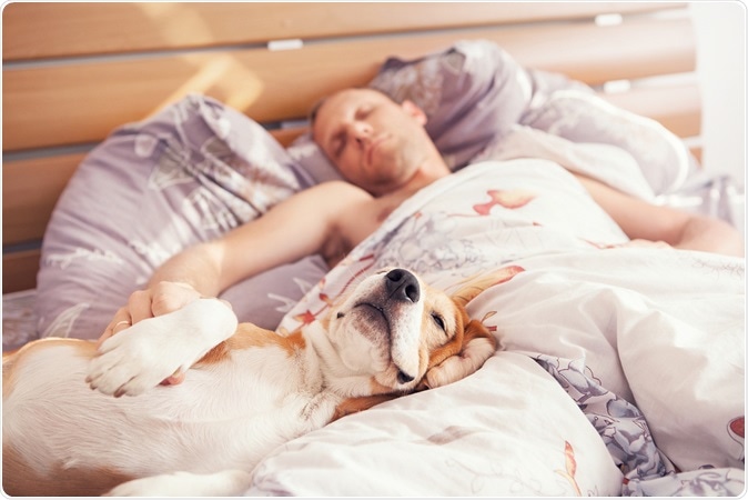 Your dog in your bed with you – is it good for your sleep?