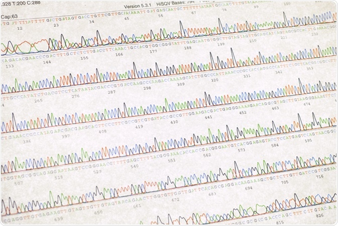 DNA sequencing result sheet. Image Credit: SINITAR / Shutterstock