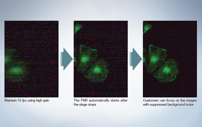 Focus on Dim Fluorescent Signals with Intelligently Designed Noise Reduction