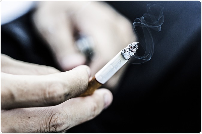 Image Credit: Preeda2531  / Shutterstock