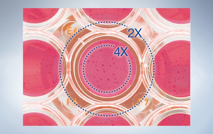 Wide and Clear View with the 2X Objective