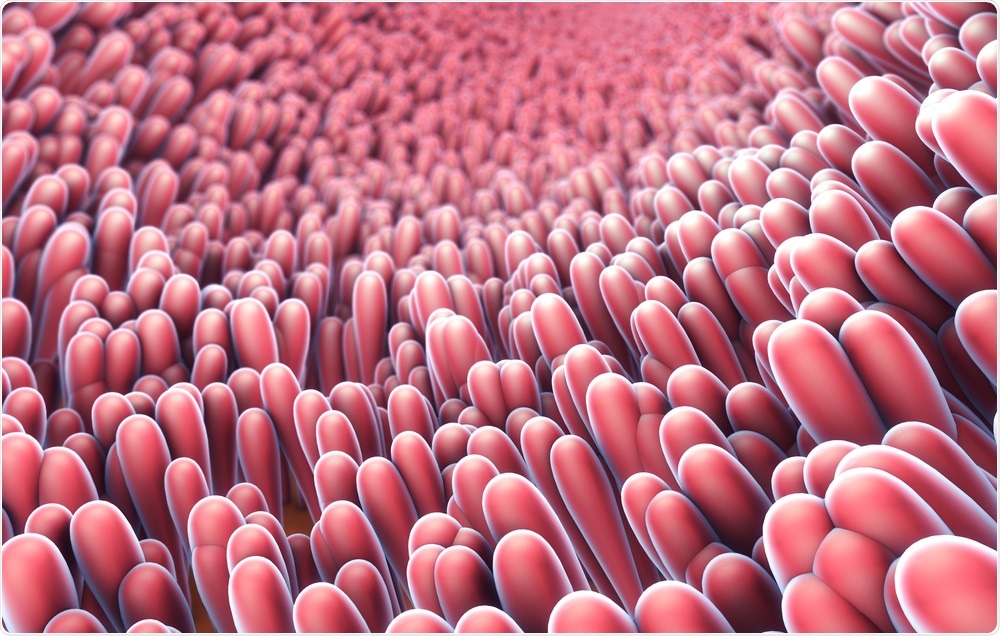 Intestine - By Christoph Burgstedt