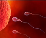 Researchers demonstrate epigenetic memory transmission via sperm