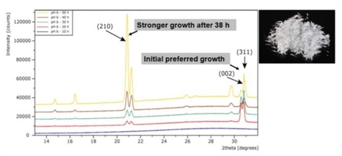 PXRD patterns of the crystallization of DL-Alanine.