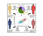 Metabolome tests could be new way to measure obesity and health