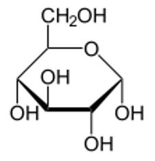 Figure 2 Haworth projection of α-D-Glucopyranose. Note the OH is on the opposite side of CH2OH
