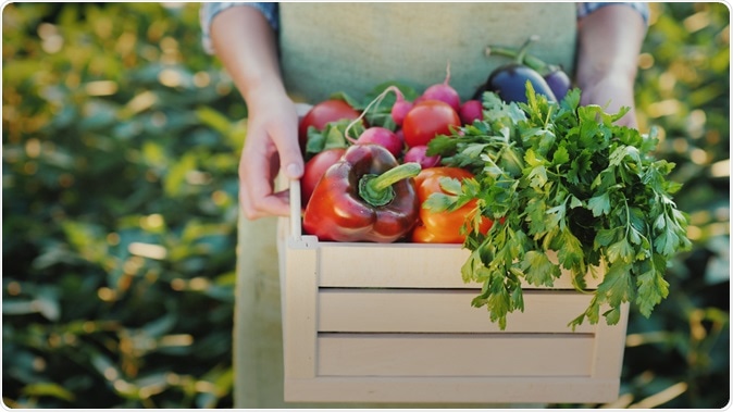 Image Credit: StockMediaSeller/ Shutterstock