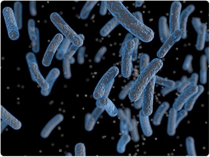 bacteria for use in metaproteomics - By OlgaReukova