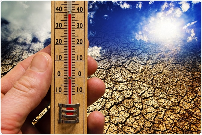 Image Credit: Meryll / Shutterstock