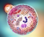 What is Autophagy?