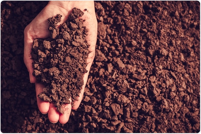 Image Credit: Funnyangel / Shutterstock